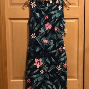 New Old Navy dress